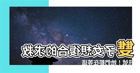 雙子女 復合